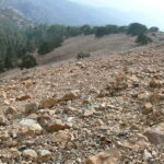 Troodos walking trip - An In-Depth Look at the Troodos Walking Trip