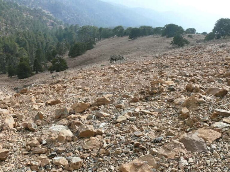 Troodos walking trip - An In-Depth Look at the Troodos Walking Trip