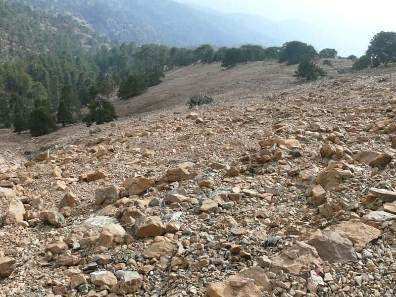 Troodos walking trip - An In-Depth Look at the Troodos Walking Trip