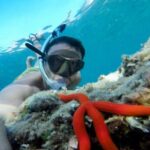 Tropea private boat tour - Who Would Love This Tour?