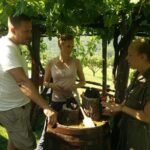 Truffle and wine / Taste of Istria from POREC, ROVINJ, PULA - The Itinerary in Detail