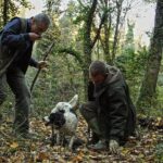 Truffle Hunt & Wine Tasting - Who Should Consider This Tour?
