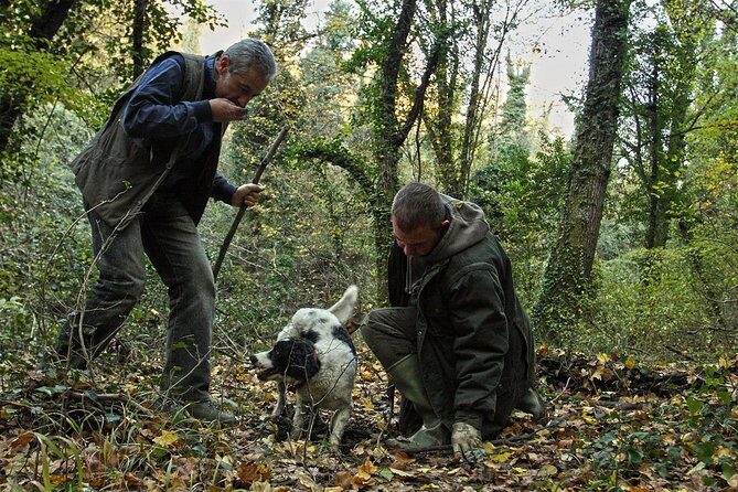 Truffle Hunt & Wine Tasting - Who Should Consider This Tour?