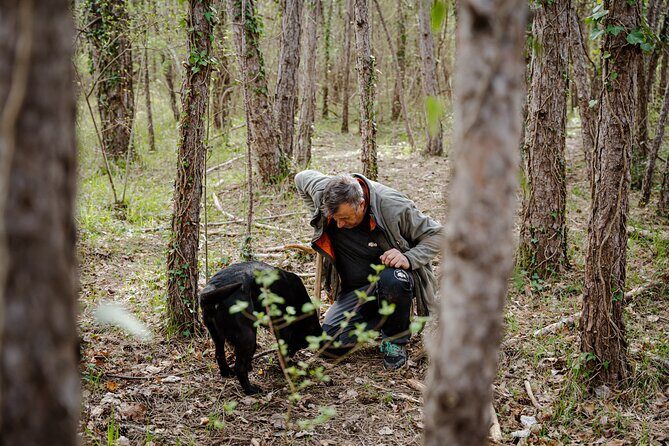 Truffle Hunting and 3-course Truffle Brunch in Motovun - Who Will Love This Tour?