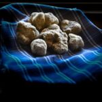 Truffle Hunting and Handmade Pasta in Ascoli Piceno - The Value of This Experience