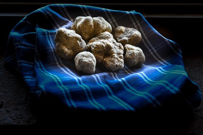 Truffle Hunting and Handmade Pasta in Ascoli Piceno - The Value of This Experience