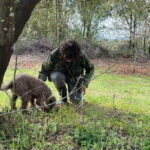 Truffle hunting experience with lunch and Chianti wine tasting - Practical Details and What to Expect