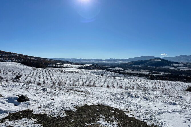 Truffle Hunting in Kyustendil - Practical Details and Why They Matter