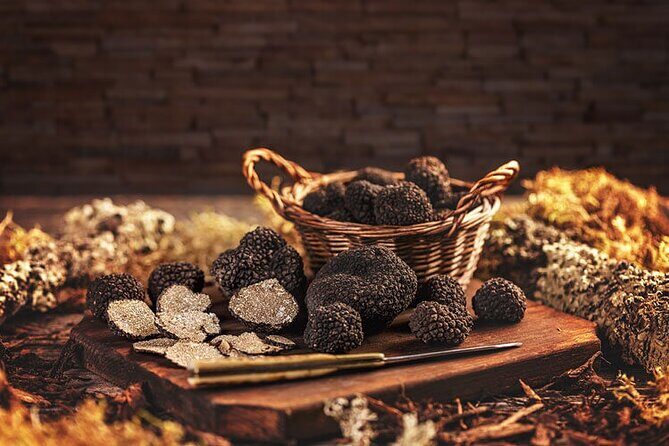 Truffle hunting tour from Rijeka - An In-Depth Look at the Truffle Hunting Tour