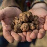 Truffle Hunting & Truffle Cooking Class - Practical Details & Considerations