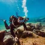 Try Dive in Tenerife - Practical Details: What You Need to Know