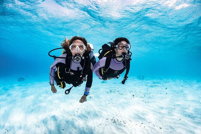Try Dive - PADI Discover Scuba Diving in Tenerife - Why This Tour Truly Stands Out