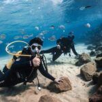 Try Scuba Diving | 1 dive - Insight from Real Reviews
