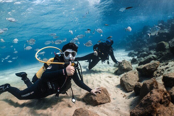 Try Scuba Diving | 1 dive - Insight from Real Reviews