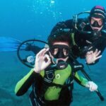 Try Scuba Diving in a turtle area (boat) - The Itinerary in Detail