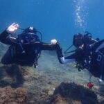 Try Scuba Diving in Lanzarote (No experience needed) - Why This Tour Stands Out
