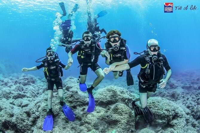 Try Scuba in Crete  Free Certification & Photos (Beginners) - What Previous Participants Say