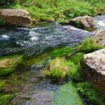 Tsalka Canyon Tour from Tbilisi with Poka Nunnery, Gorelovka and Asureti - Who Should Consider This Tour?