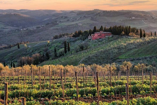 Tuk tuk in Chianti - Why This Tour Works for Different Types of Travelers