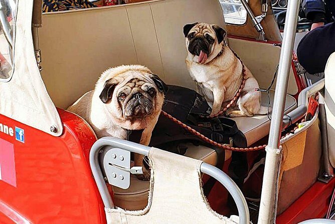 Tuk tuk Lisbon a discovery à la carte without fatigue. Lisbon differently.01 - Who Will Love This Tour?