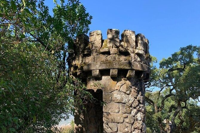 Tuk Tuk Transfer With Sintra Pena Ticket From Meeting Point - What Travelers Can Expect at Each Stop
