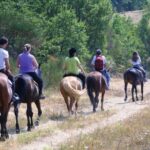 Tuscan Chianti Hills Horseback Riding Tour - The Scenery & Experience
