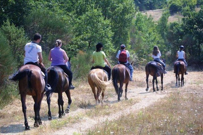 Tuscan Chianti Hills Horseback Riding Tour - The Scenery & Experience