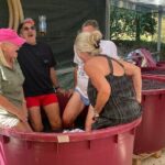 Tuscan Wine Tour in Pisa by van - Value and Practical Aspects