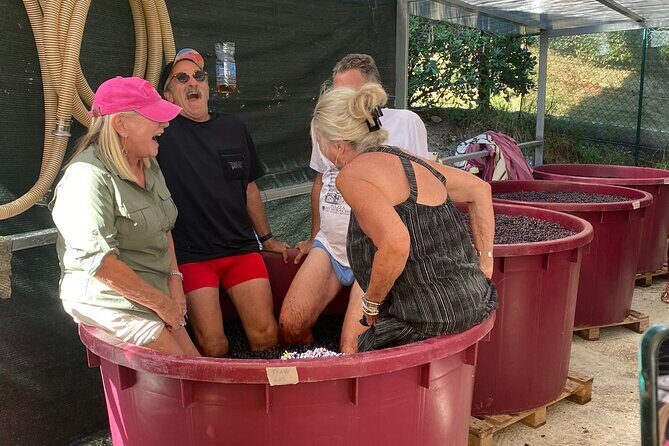 Tuscan Wine Tour in Pisa by van - Value and Practical Aspects