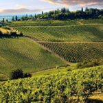 Tuscany countryside from Livorno: Private Volterra, San Gimignano & Wine Tasting - The Value of This Tour