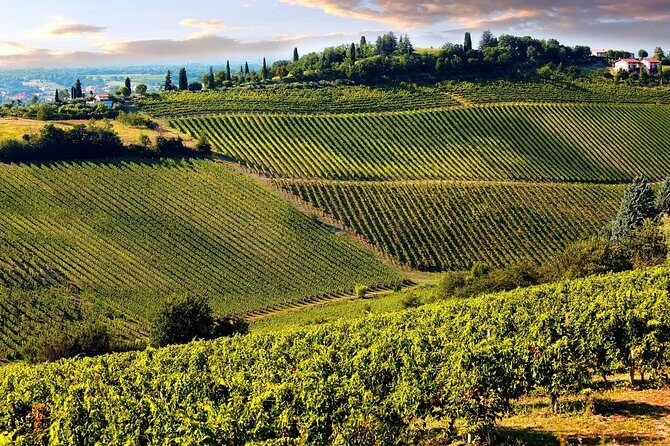 Tuscany countryside from Livorno: Private Volterra, San Gimignano & Wine Tasting - The Value of This Tour