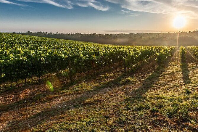 Tuscany from Rome- Siena and San Gimignano Private Day Tour - Value for Money & Who It Suits Best