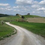 Tuscany Hiking Tour from Siena Including Wine Tasting - The Value of the Tour