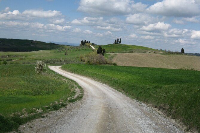 Tuscany Hiking Tour from Siena Including Wine Tasting - The Value of the Tour