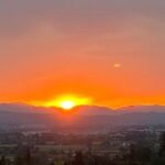 Tuscany Tour Siena - San Gimignano - Winery - Who Will Love This Tour?