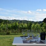 Tuscany Wine Tours in a family winery Podere Pellicciano - Who Will Love This Tour?