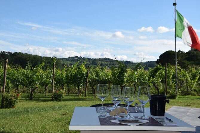 Tuscany Wine Tours in a family winery Podere Pellicciano - Who Will Love This Tour?