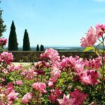 Two intensive days discover exceptional wines of the Rhône valley - Who Is This Tour Best For?