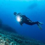 Two Morning Dives in Gozo for Certified Diver - What the Dives Feel Like: Underwater Rock Formations and Marine Life