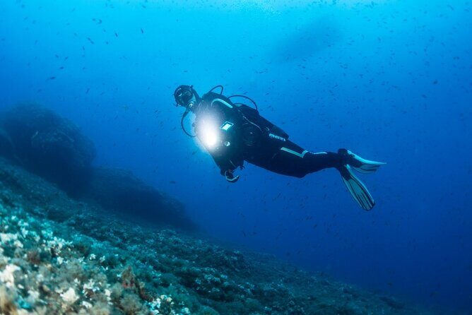 Two Morning Dives in Gozo for Certified Diver - What the Dives Feel Like: Underwater Rock Formations and Marine Life