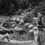 Tzoumerka villages tour (3 days) - The Experience You Can Expect