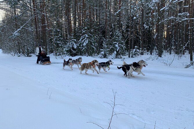 Ultimate Husky dog sledding experience in Latvia - Private tour from Riga - FAQ