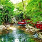 Ulupinar Fishing and Picnic Half-day Tour - Detailed Breakdown of the Itinerary