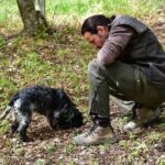 Umbria Truffle Hunting Experience with Brunch - Analyzing the Value