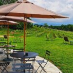 Unconventional Prosecco Tasting with Stunning View on Vineyards - Who Should Book This Experience?