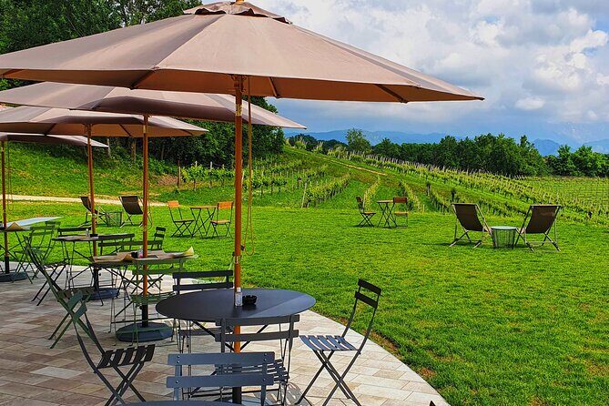 Unconventional Prosecco Tasting with Stunning View on Vineyards - Who Should Book This Experience?