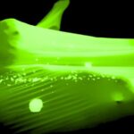 Underground Black Light Theatre Interactive Show in Prague - The Experience: What You Can Expect