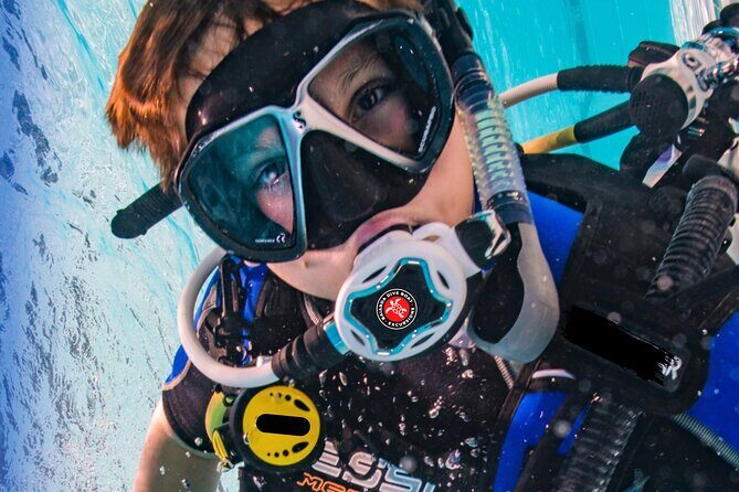 Underwater adventure with sea baptism on the Island of Elba - Analyzing the Value: Is This Tour Worth It?