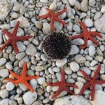 Unforgettable kayaking adventure in Pula! - How to get the most from your trip