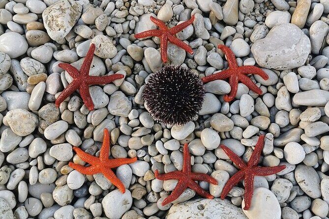 Unforgettable kayaking adventure in Pula! - How to get the most from your trip